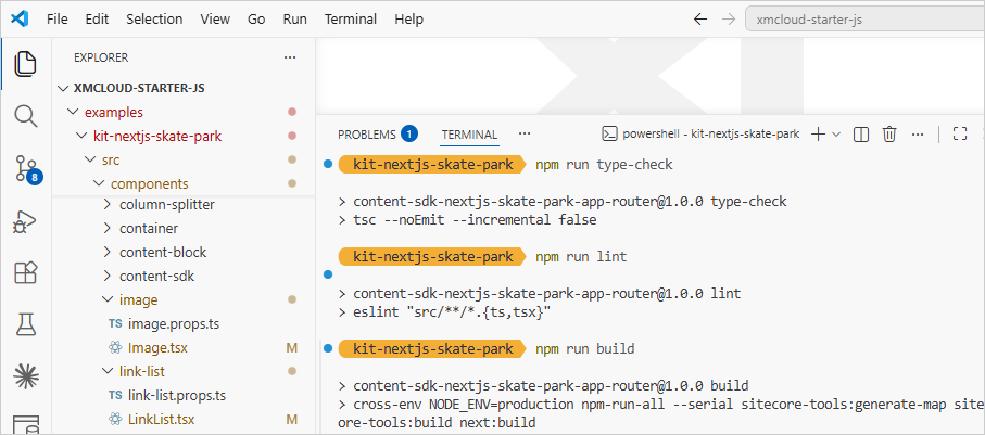 visual code npm run build