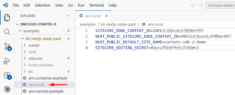 visual code env