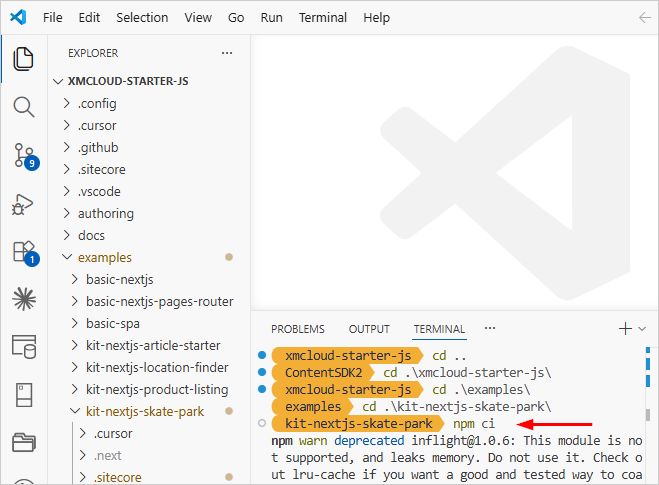 visual code npm ci